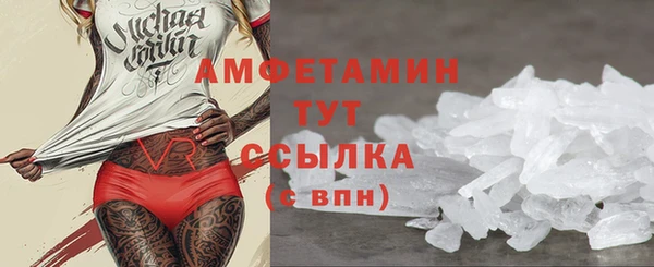 твердый Абаза