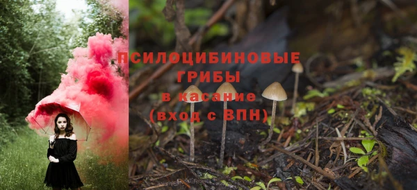 твердый Абаза